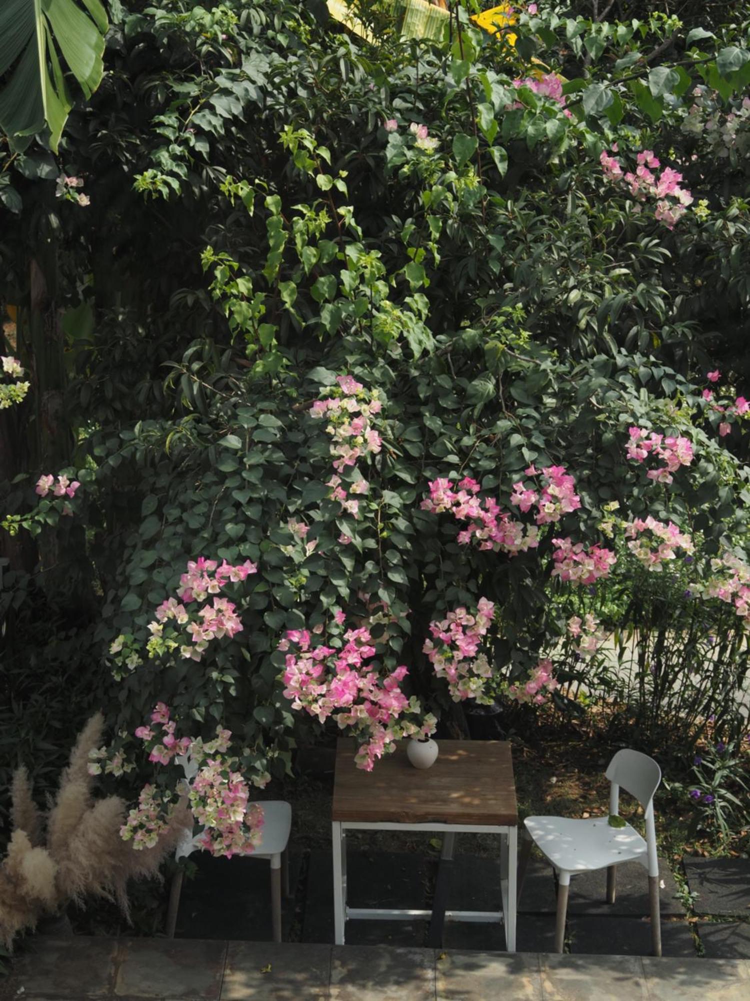 Yangshuo Hillside Homestay Exterior photo